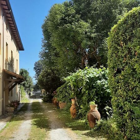 Antica Fattoria La Verdina Камайоре Екстериор снимка
