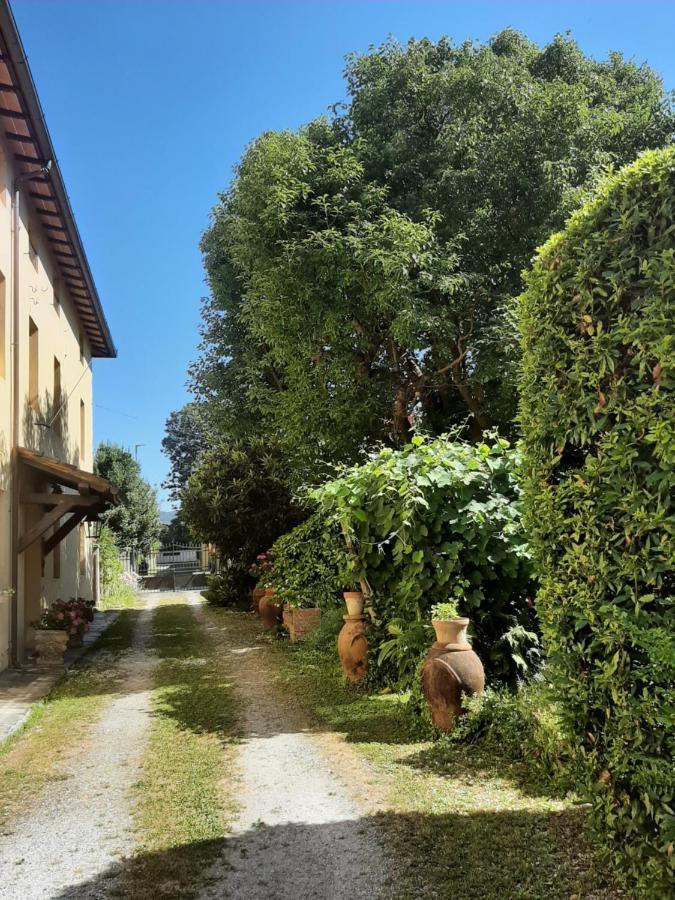 Antica Fattoria La Verdina Камайоре Екстериор снимка