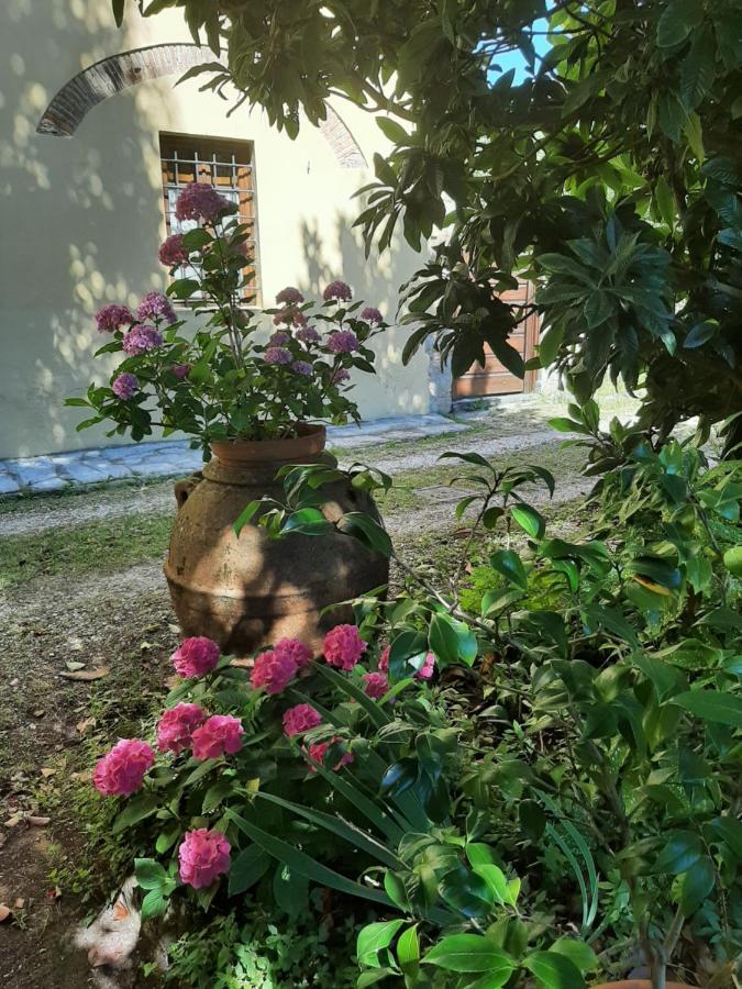 Antica Fattoria La Verdina Камайоре Екстериор снимка