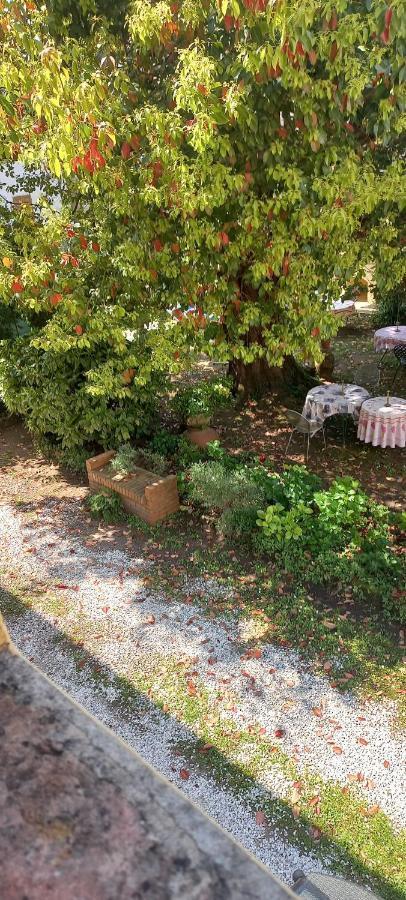 Antica Fattoria La Verdina Камайоре Екстериор снимка